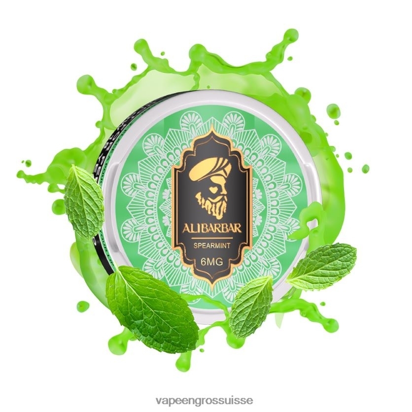 Vape En Gros Suisse - menthe verte 82F24256 ALIBARBAR pochette de nicotine