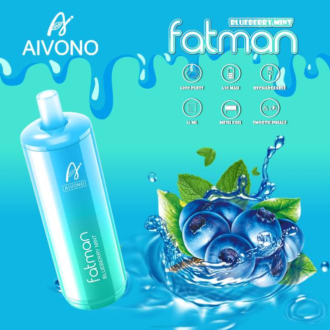 Vapoteuse En Gros - Aivono FATMAN 6800 menthe myrtille 446J22