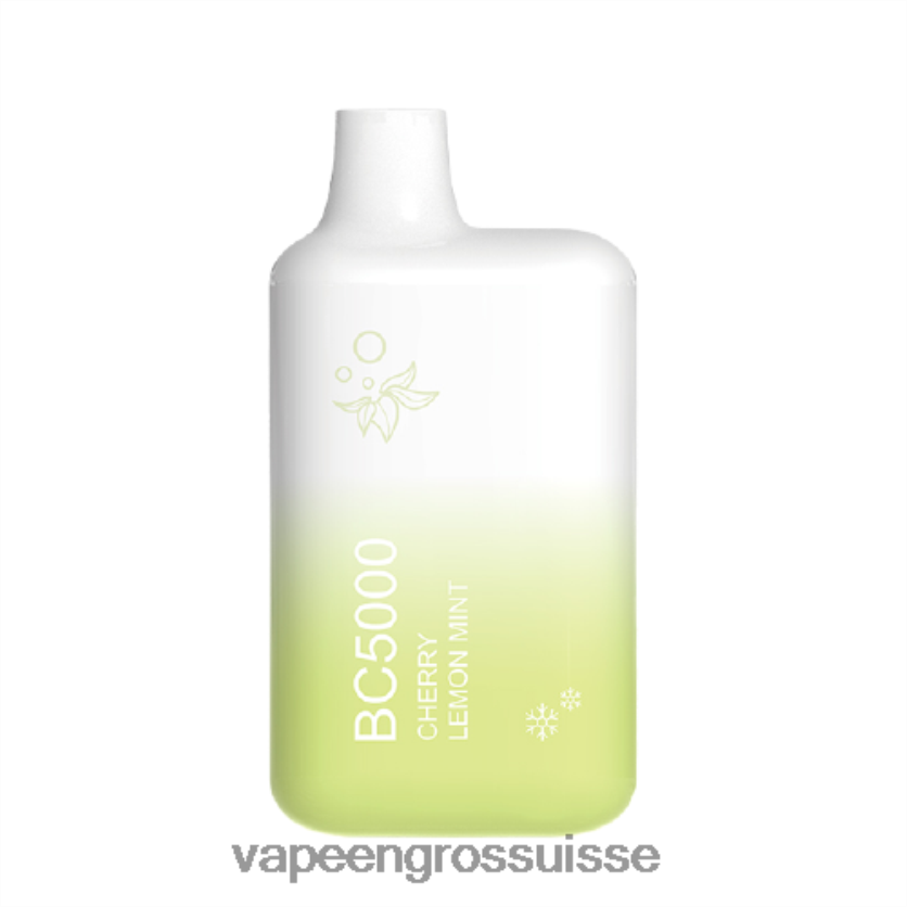 Vape En Gros - menthe citronnée 82F242302 ELFBAR BC5000