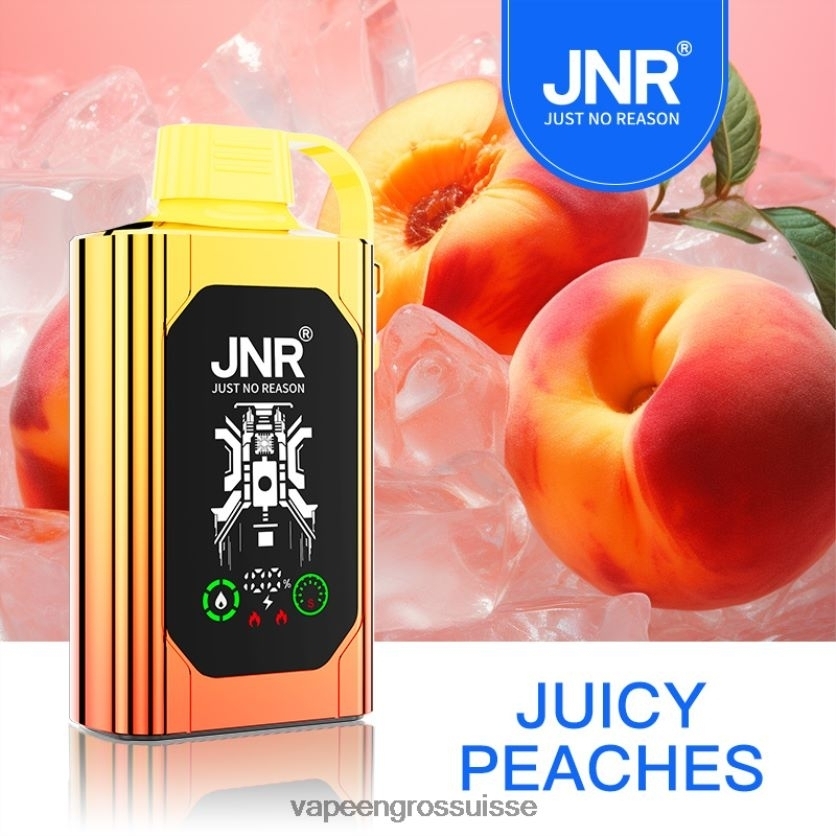 E Liquide Suisse - pêches juteuses 82F242622 JNR SHISHA BOX