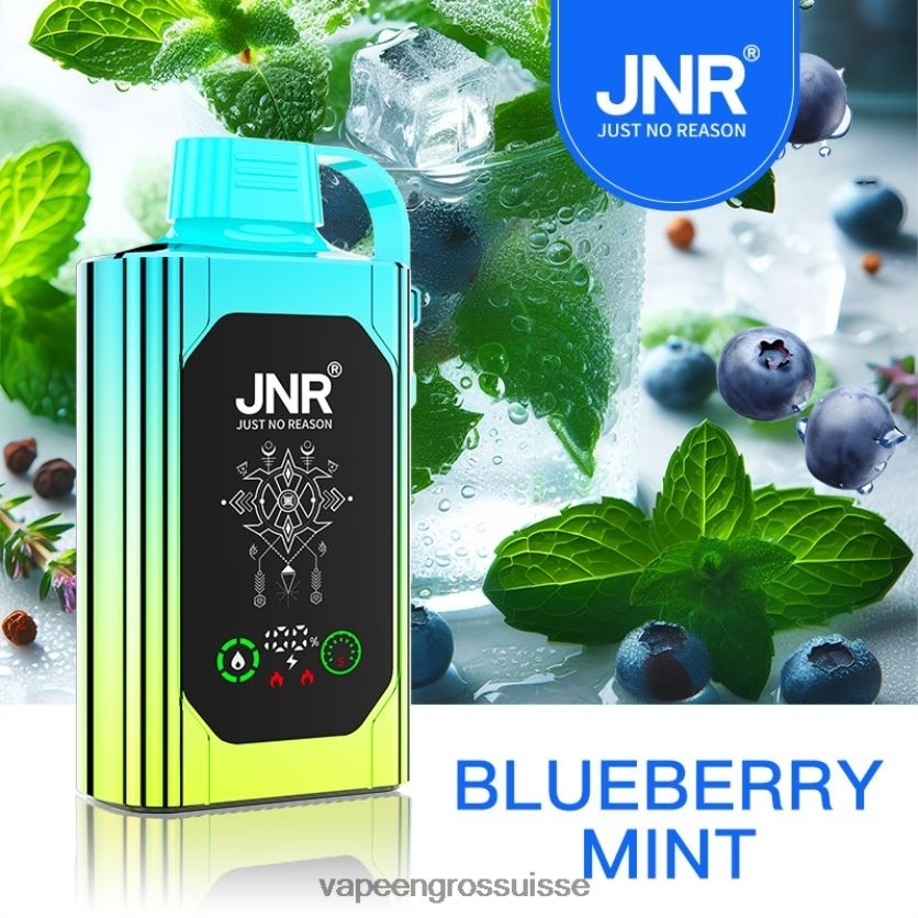 Vape Genève - menthe myrtille 82F242618 JNR SHISHA BOX