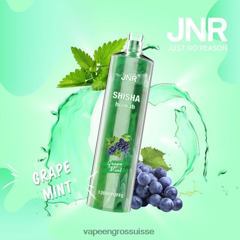 Eliquide En Gros - menthe raisin 82F242678 JNR SHISHA