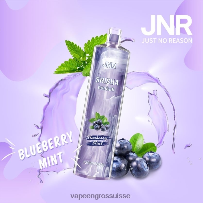 Vape En Gros Suisse - menthe myrtille 82F242672 JNR SHISHA