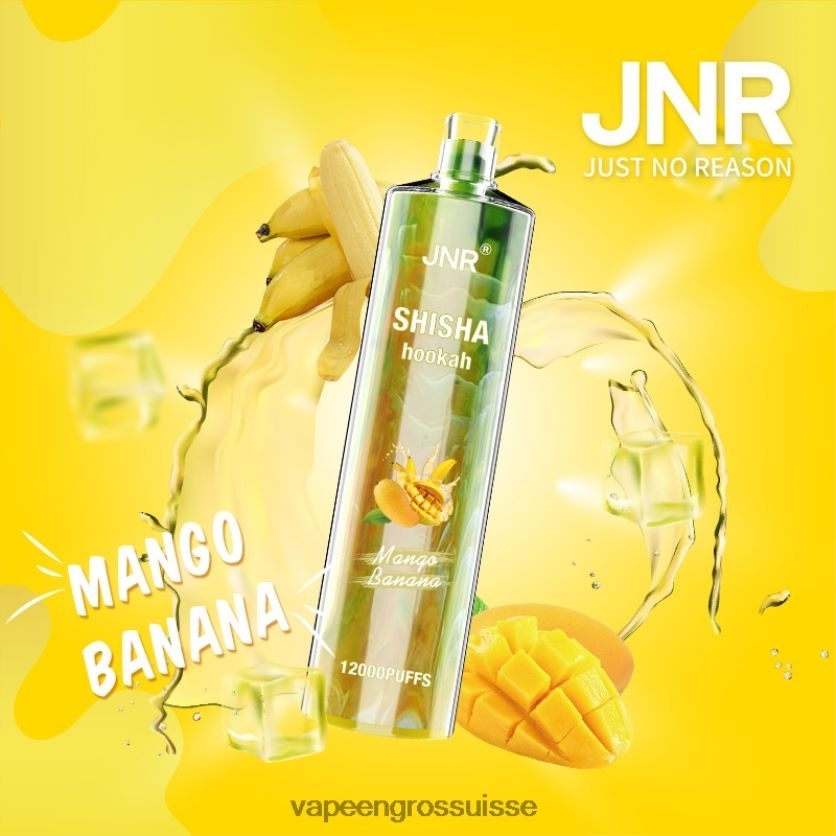 Vape Genève - mangue banane 82F242684 JNR SHISHA